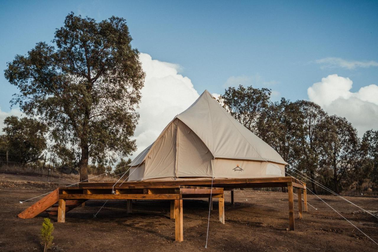 Lago Valle Wine Glamping Вале де Гуадалупе Екстериор снимка
