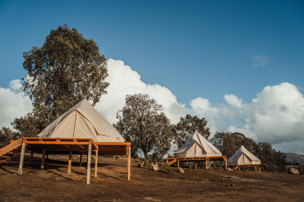 Lago Valle Wine Glamping Вале де Гуадалупе Екстериор снимка