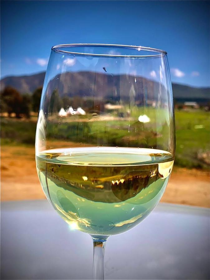 Lago Valle Wine Glamping Вале де Гуадалупе Екстериор снимка