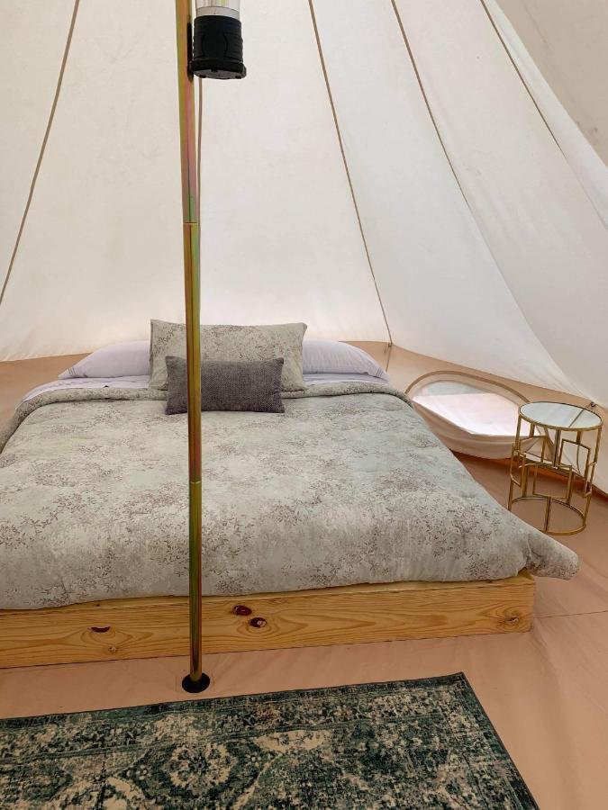 Lago Valle Wine Glamping Вале де Гуадалупе Екстериор снимка