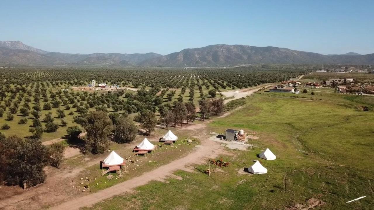 Lago Valle Wine Glamping Вале де Гуадалупе Екстериор снимка
