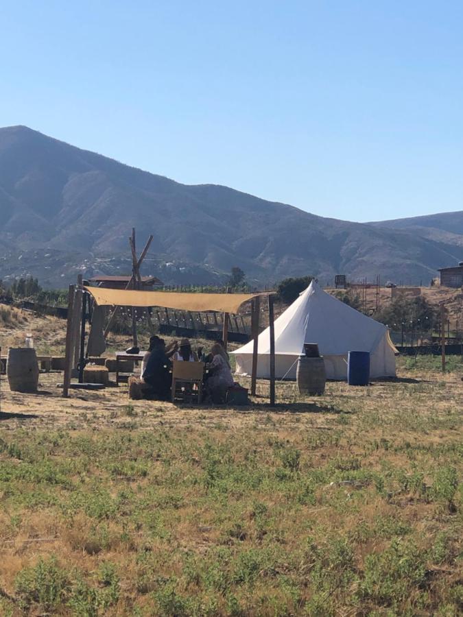 Lago Valle Wine Glamping Вале де Гуадалупе Екстериор снимка