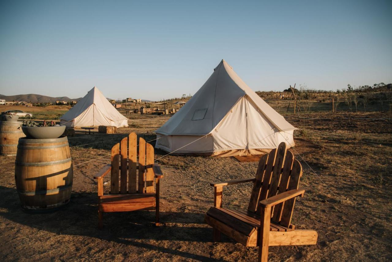 Lago Valle Wine Glamping Вале де Гуадалупе Екстериор снимка