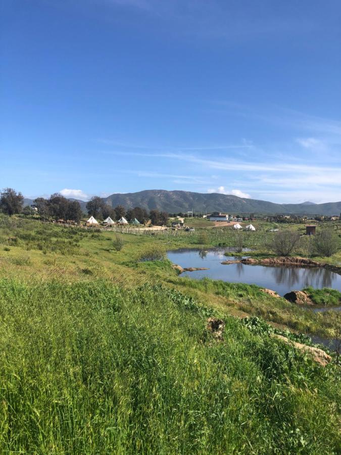 Lago Valle Wine Glamping Вале де Гуадалупе Екстериор снимка