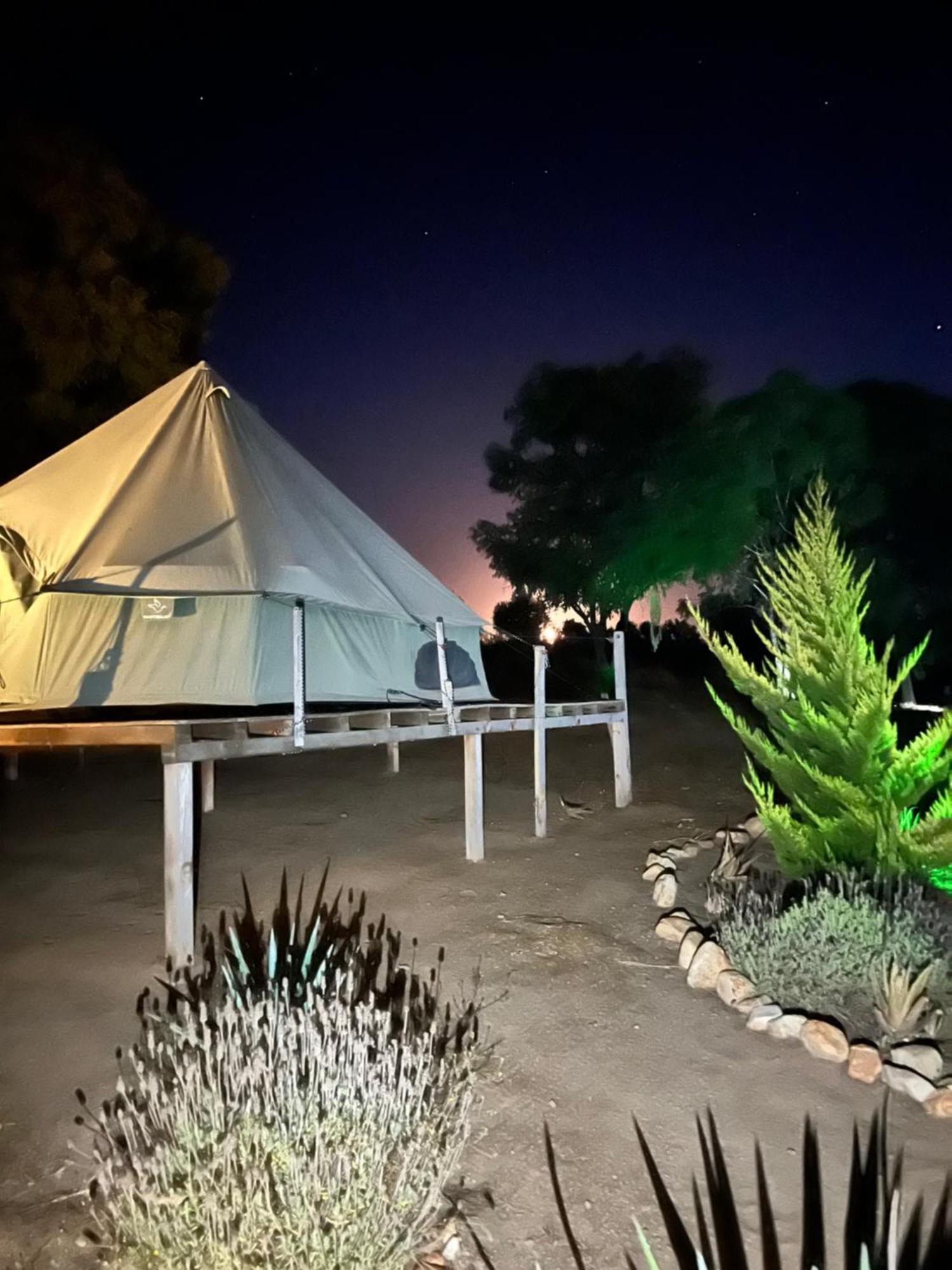 Lago Valle Wine Glamping Вале де Гуадалупе Екстериор снимка