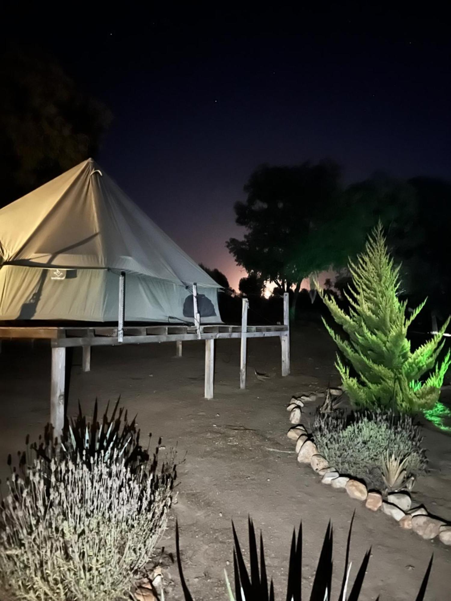 Lago Valle Wine Glamping Вале де Гуадалупе Екстериор снимка